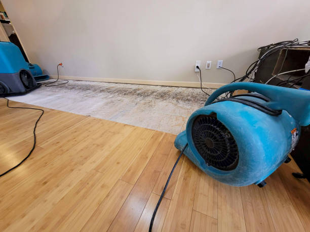 Professional Water Extraction technician working in Ault, CO